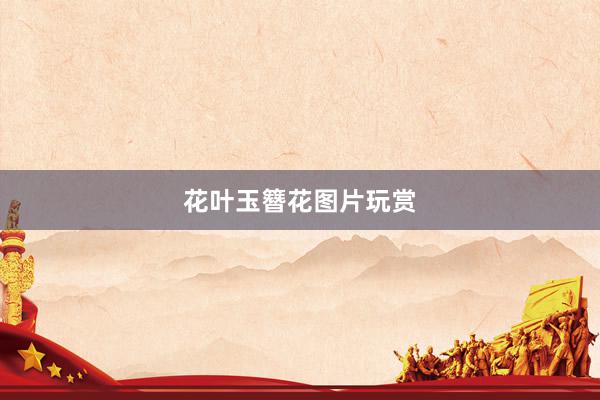 花叶玉簪花图片玩赏