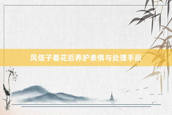 风信子着花后养护表情与处理手段